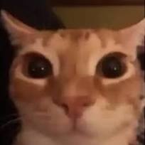 Abdullah